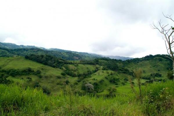 Charlas - Seminario PPCARN